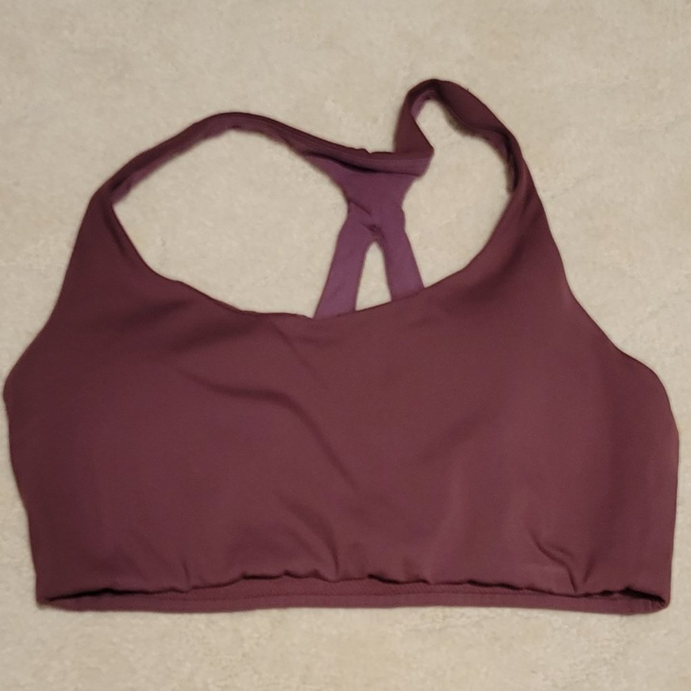 Arcteryx Berry Sports Bra